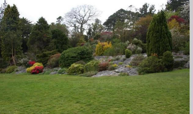 Lake Lodge Guesthouse Killarney Exterior photo